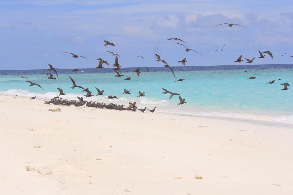 Hanifaru stay Kendhoo Exterior foto